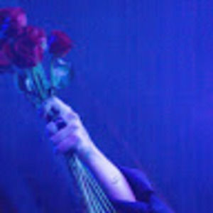 Meet your Posher, Nina